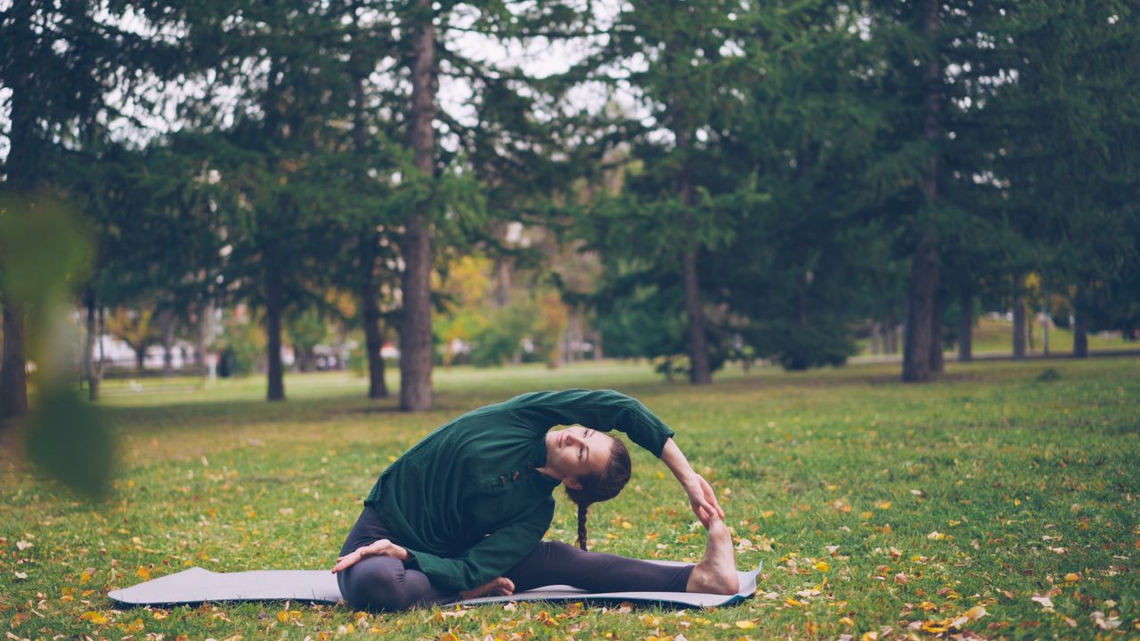 Iron for fall energy The best iron supplements for fall energy and wellness