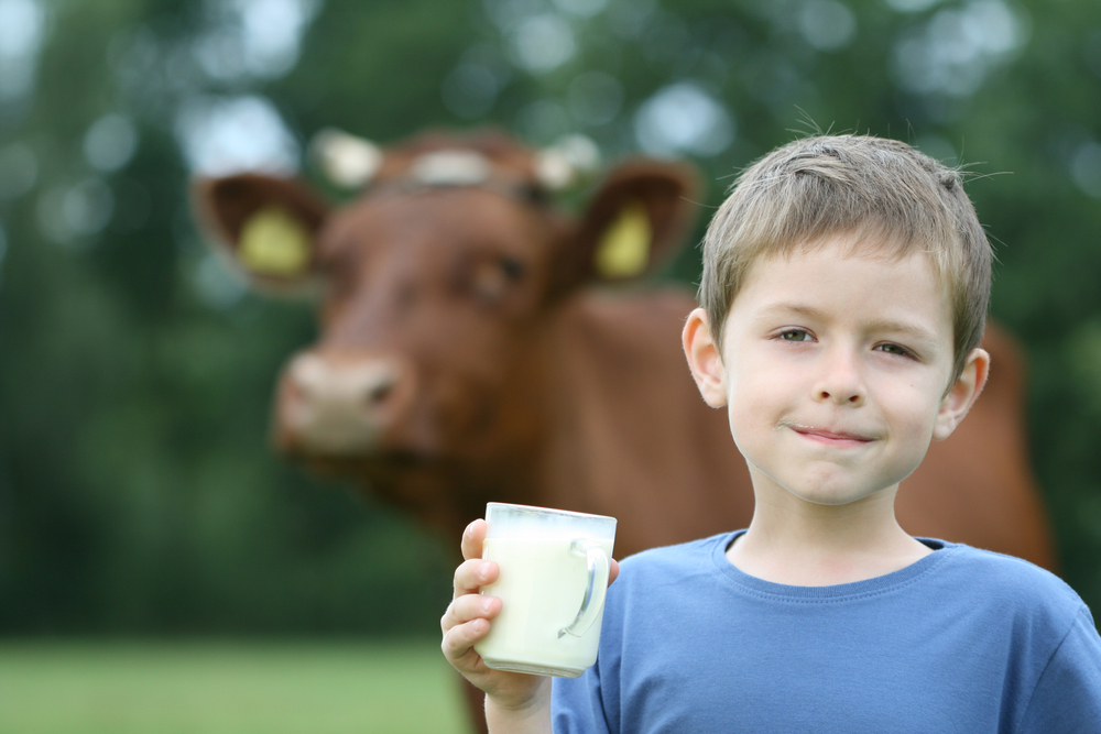 child iron deficiency cow milk